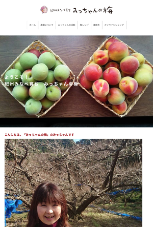 10年熟成南高梅 熟 100g | 紀州みなべ育ち みっちゃんの梅
